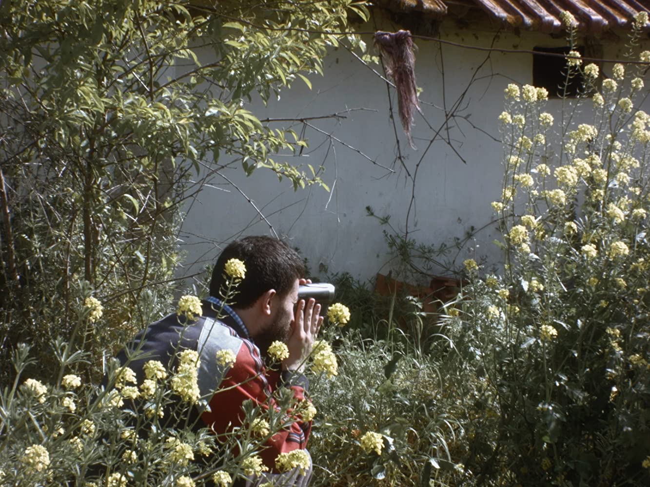 fantasmas caminho longo para casa